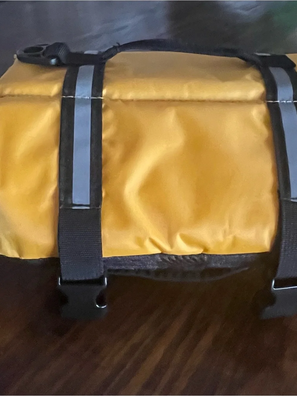 Yellow floatation device for dog